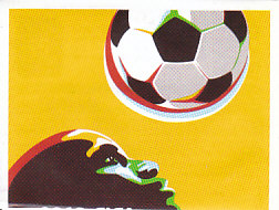Official Poster samolepka Panini World Cup 2010 #27